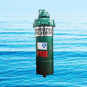 QS小型潛水電泵、QST660V特種電泵